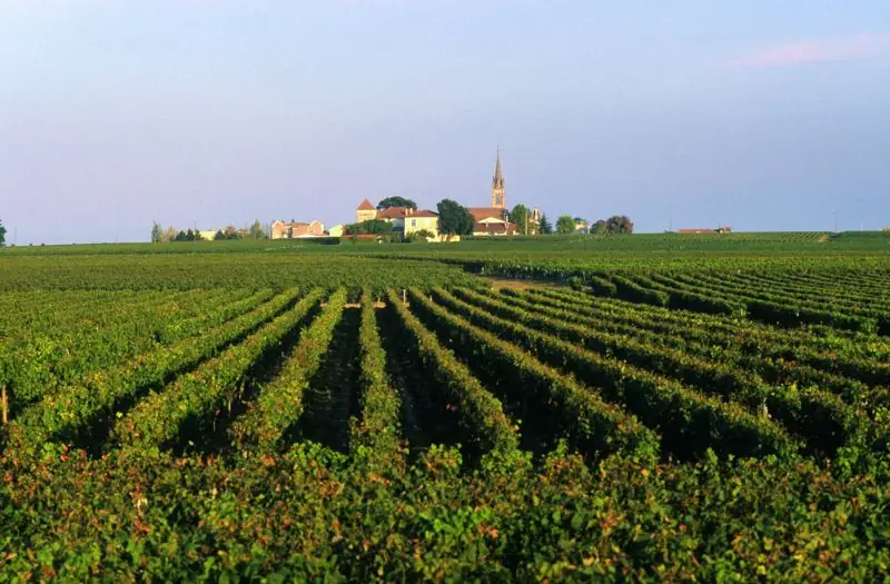 Vignoble du Médoc