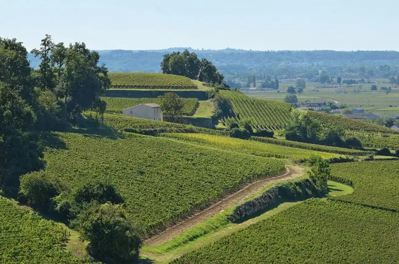 Vignobles de Saint-Émilion, chauffeur privé depuis Bordeaux
